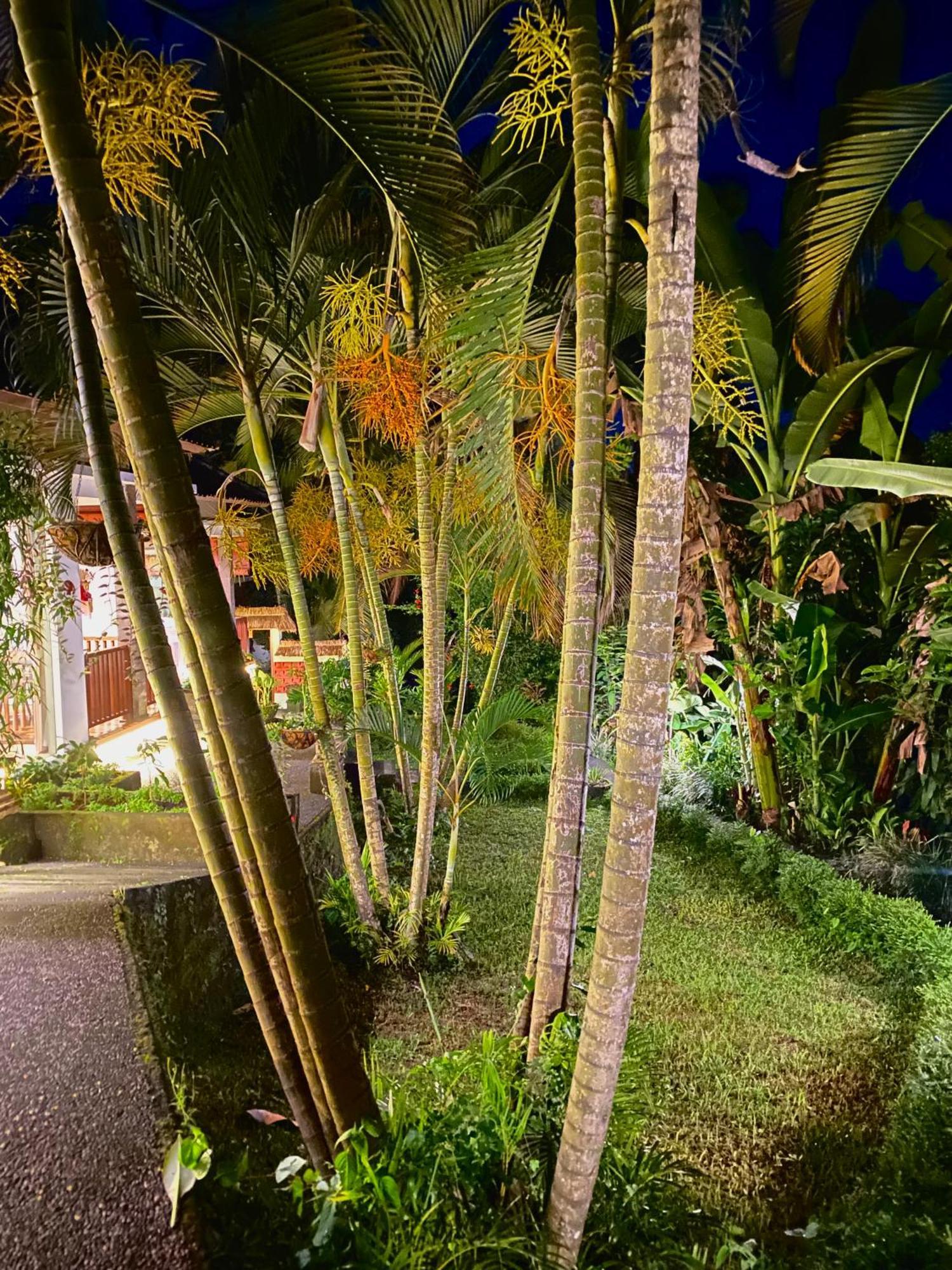 Ardan Maison Ubud Extérieur photo